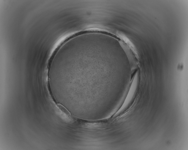 X0000090701376200707271059