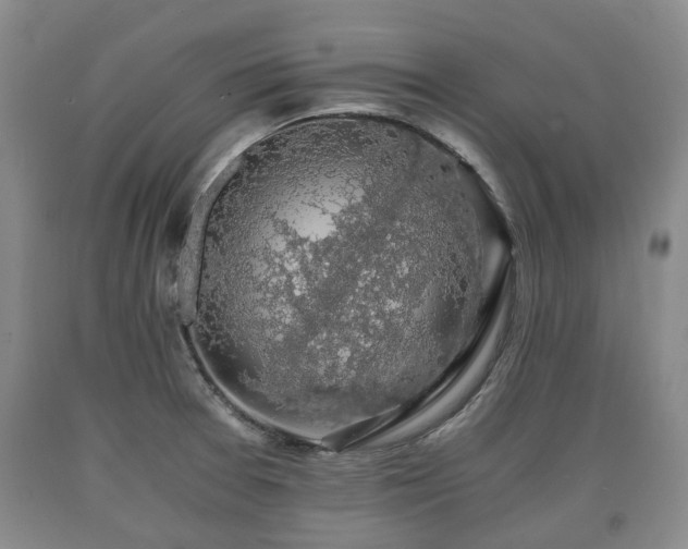 X0000090701377200707271059