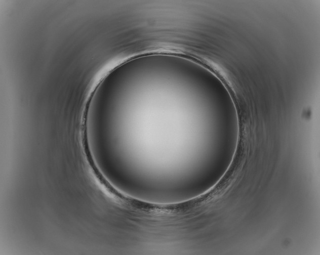 X0000090701379200707271059