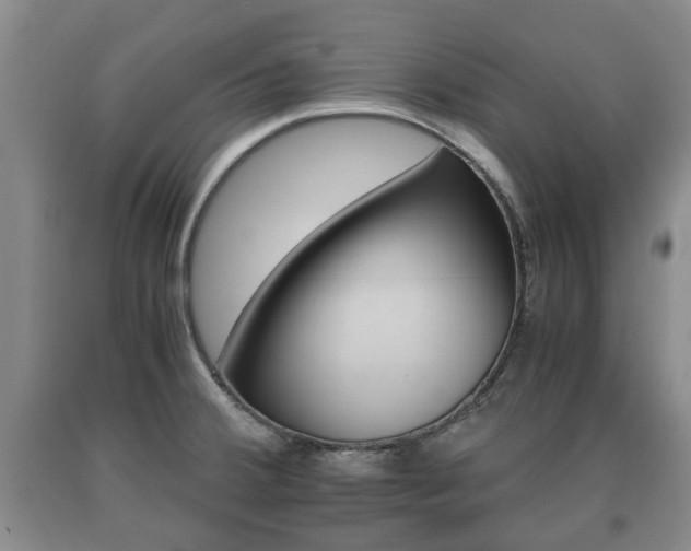 X0000090701380200707271059