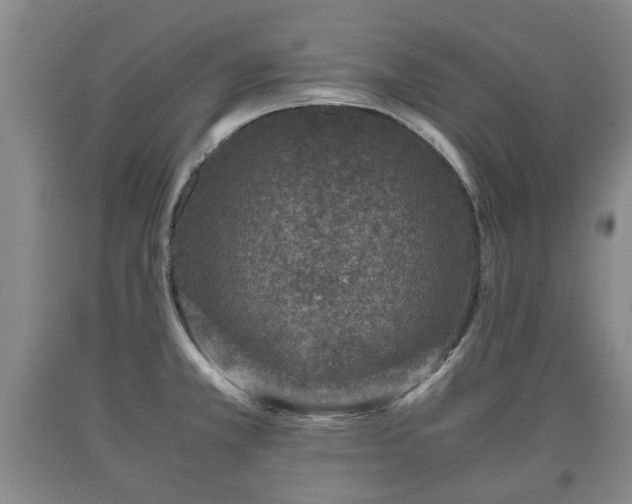 X0000090701381200707271059