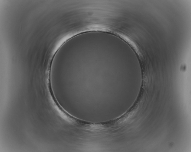 X0000090701383200707271059