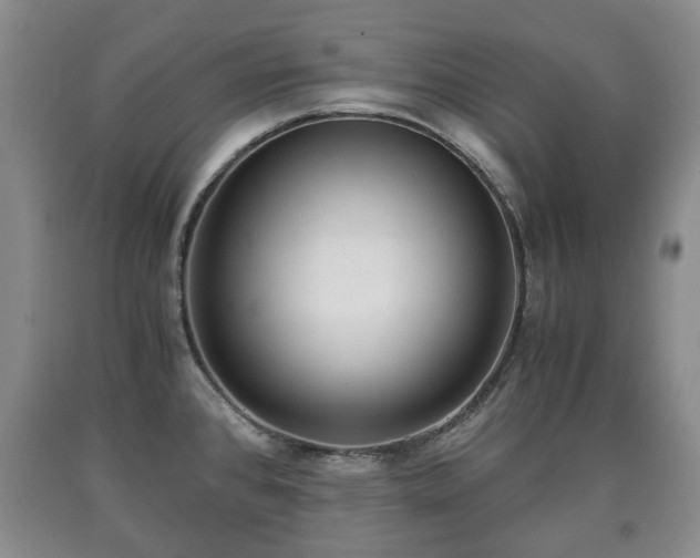 X0000090701384200707271059