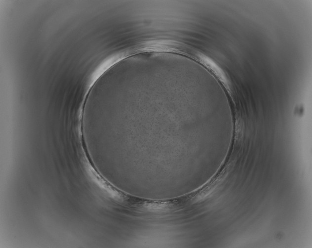 X0000090701386200707271059