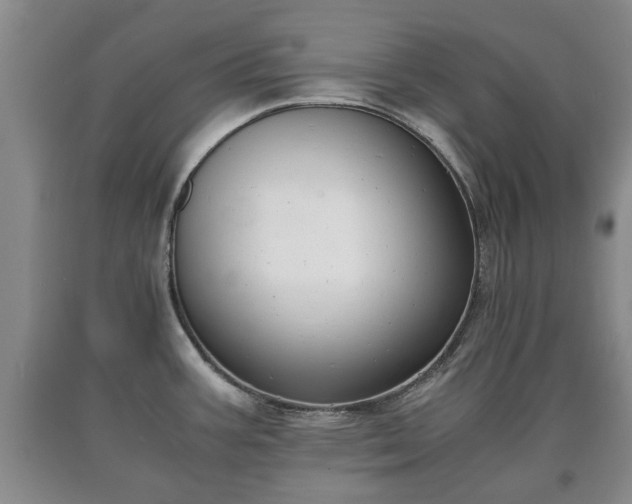 X0000090701387200707271059