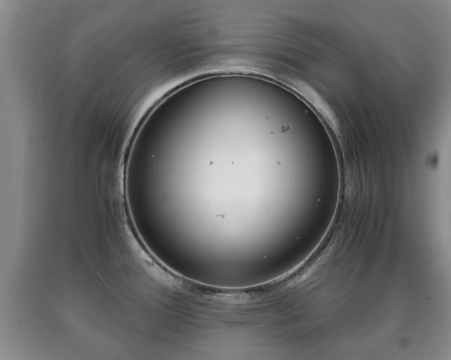 X0000090701388200707271059