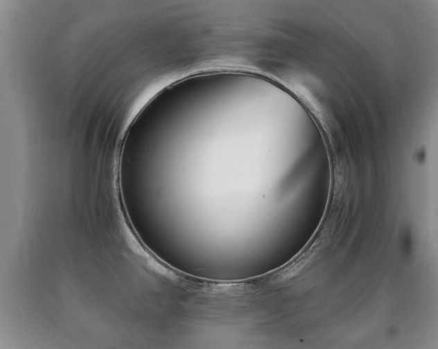 X0000090701390200707271059