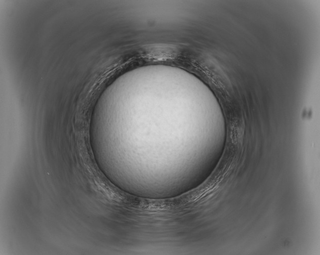 X0000090701393200707271058