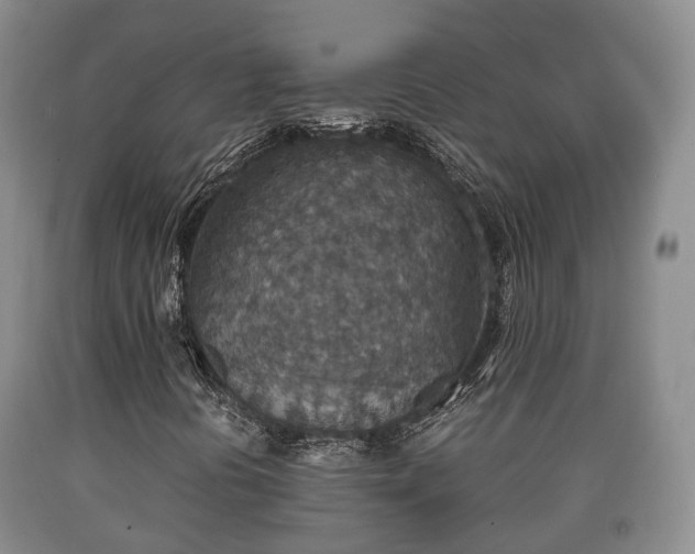 X0000090701394200707271058