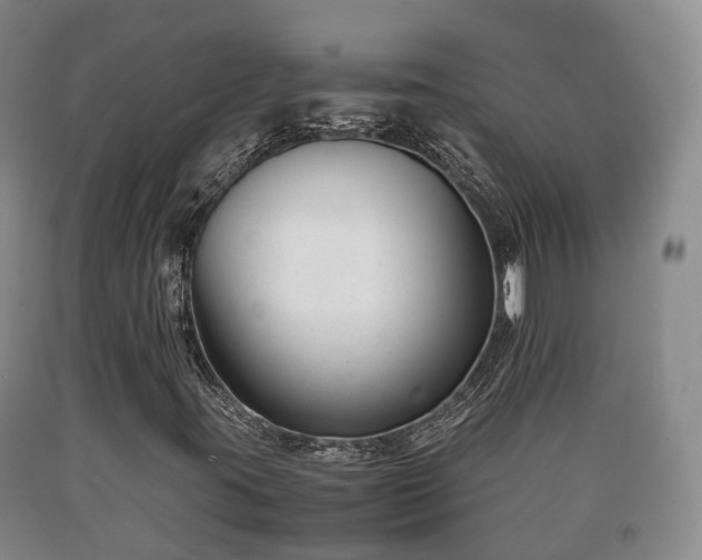 X0000090701395200707271058