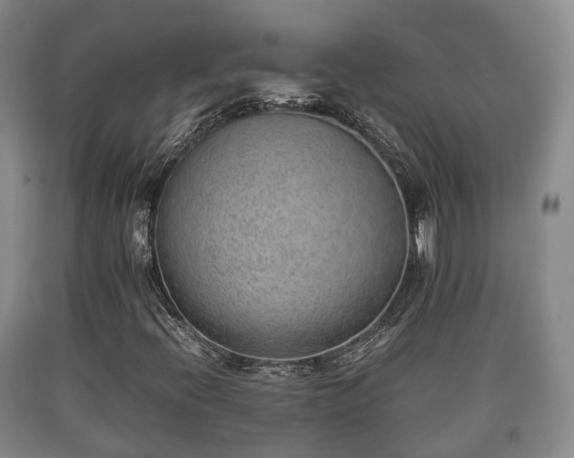 X0000090701396200707271058