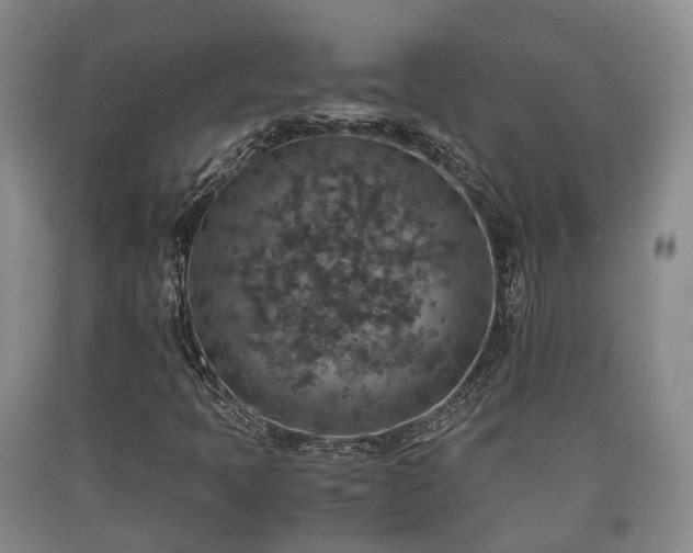 X0000090701397200707271058