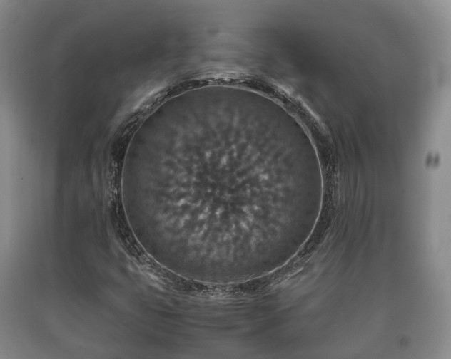 X0000090701399200707271058