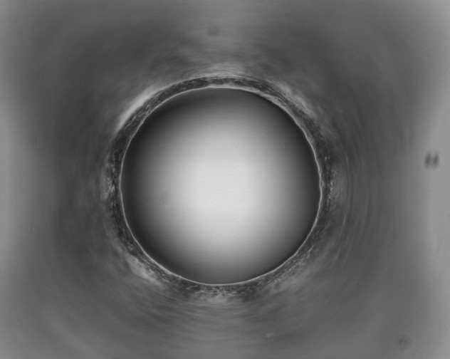 X0000090701400200707271058