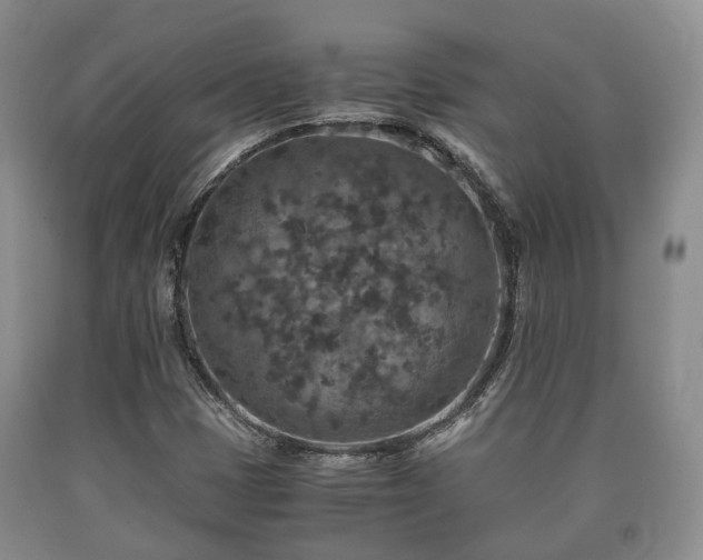 X0000090701401200707271058