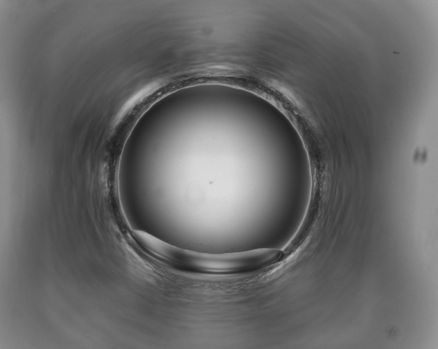 X0000090701402200707271058