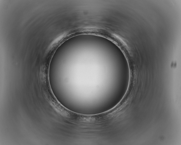 X0000090701403200707271058