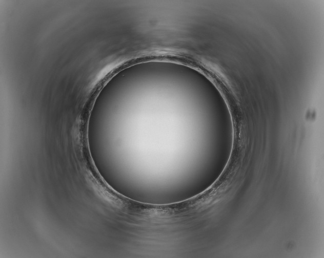 X0000090701404200707271058