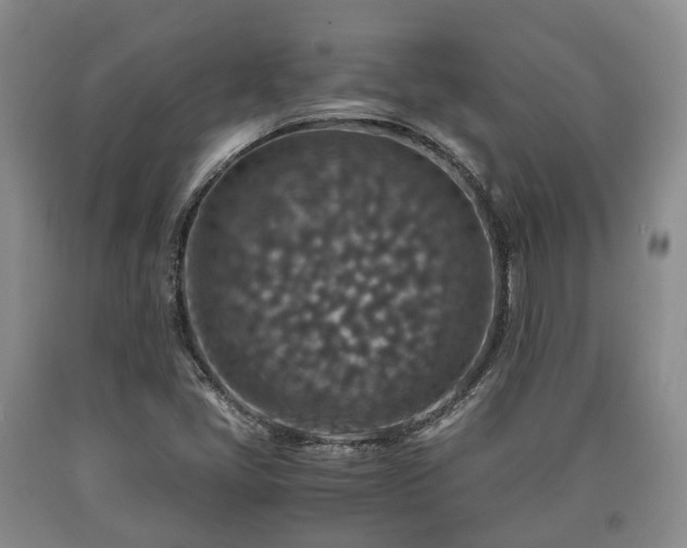 X0000090701405200707271058