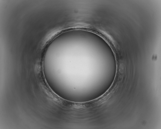 X0000090701407200707271058