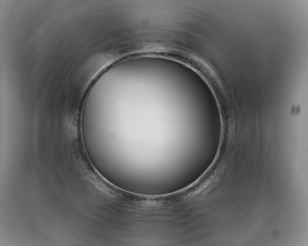 X0000090701409200707271058