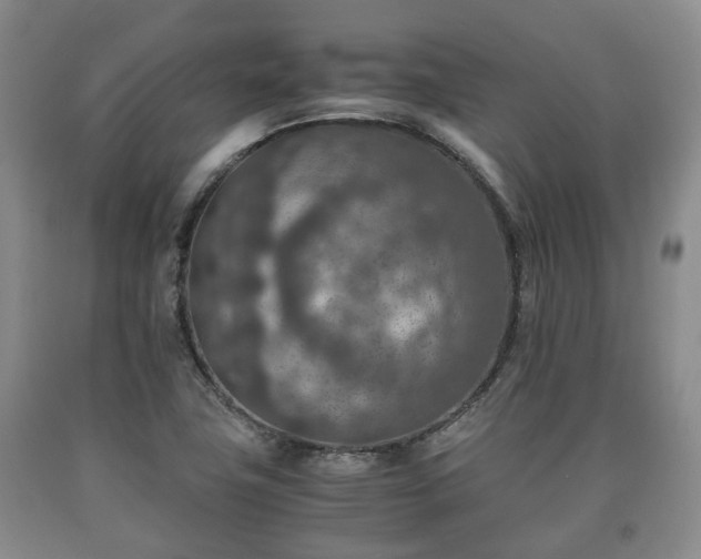 X0000090701411200707271059