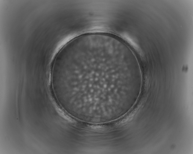 X0000090701413200707271059