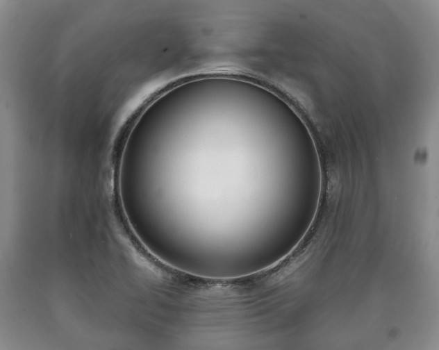 X0000090701414200707271059