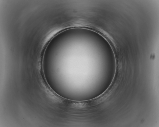 X0000090701415200707271059