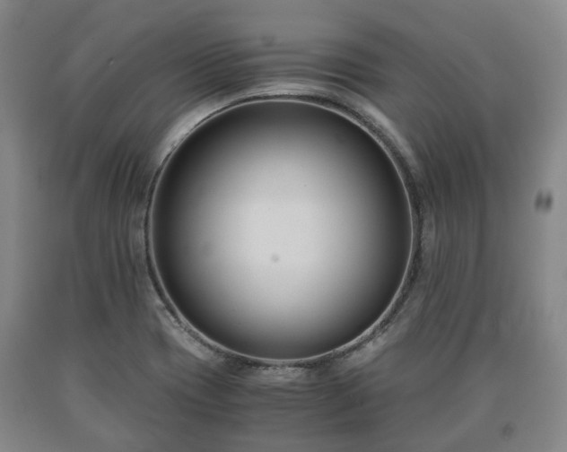 X0000090701417200707271059