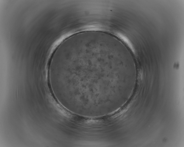 X0000090701419200707271059