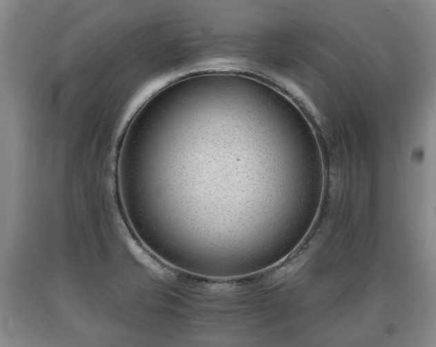 X0000090701421200707271059