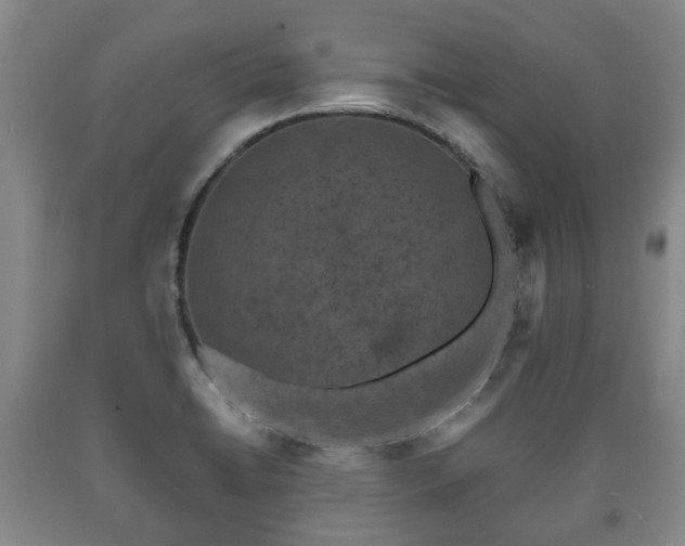 X0000090701422200707271059