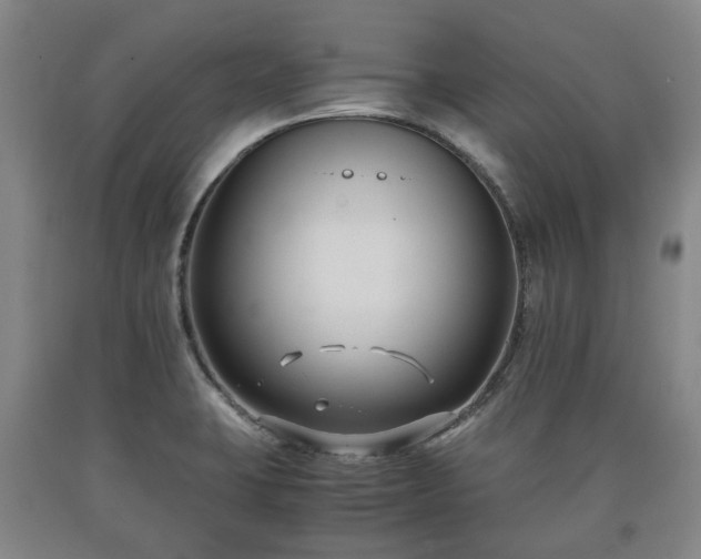 X0000090701423200707271059