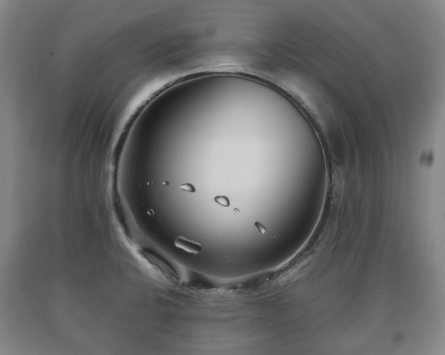 X0000090701424200707271059