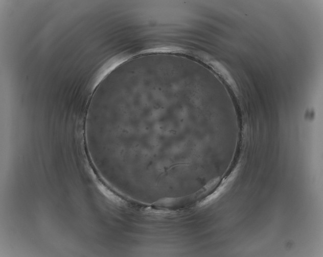 X0000090701425200707271059