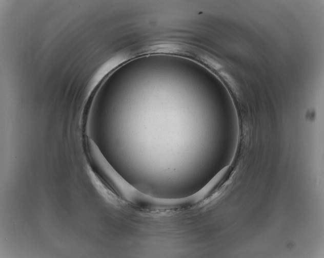 X0000090701426200707271059