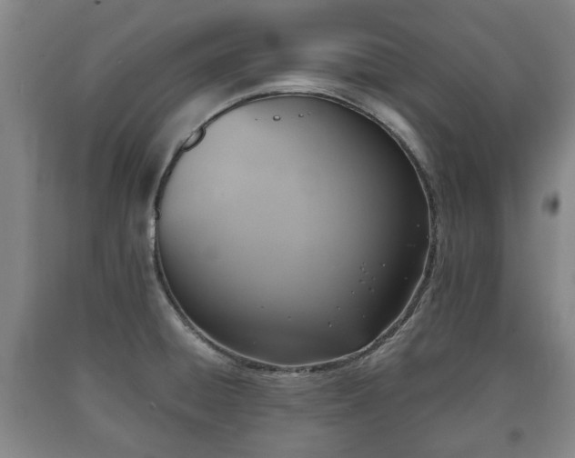 X0000090701428200707271059