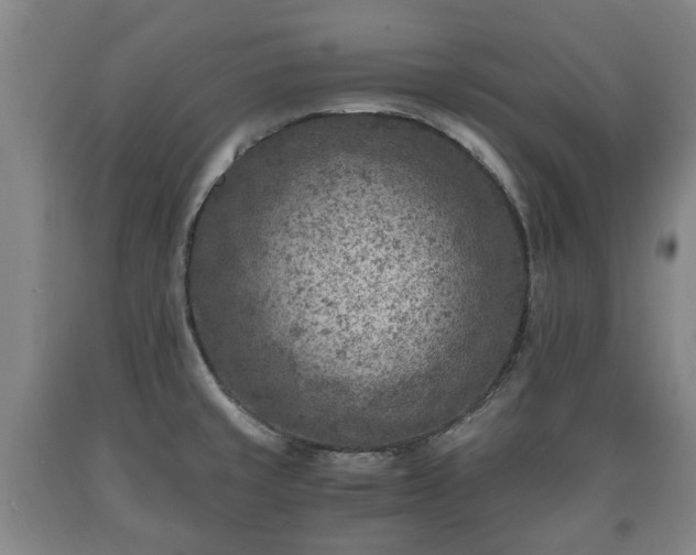 X0000090701429200707271059