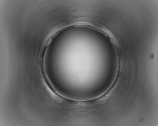 X0000090701430200707271059