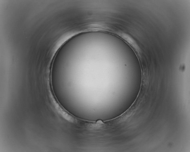 X0000090701431200707271059