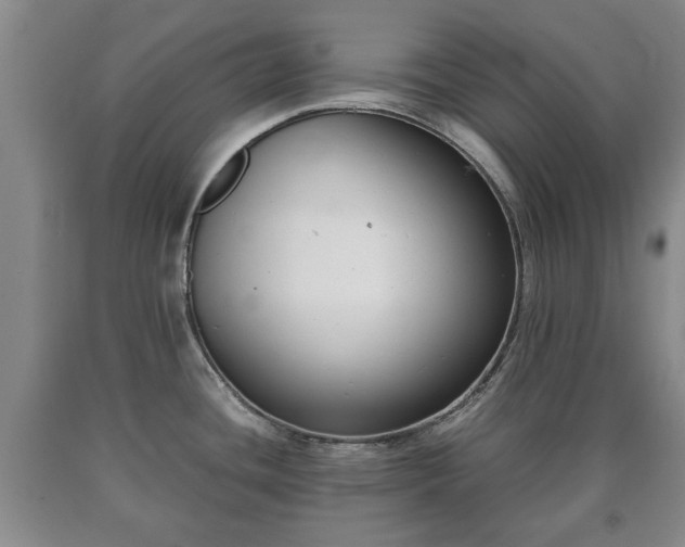 X0000090701436200707271059