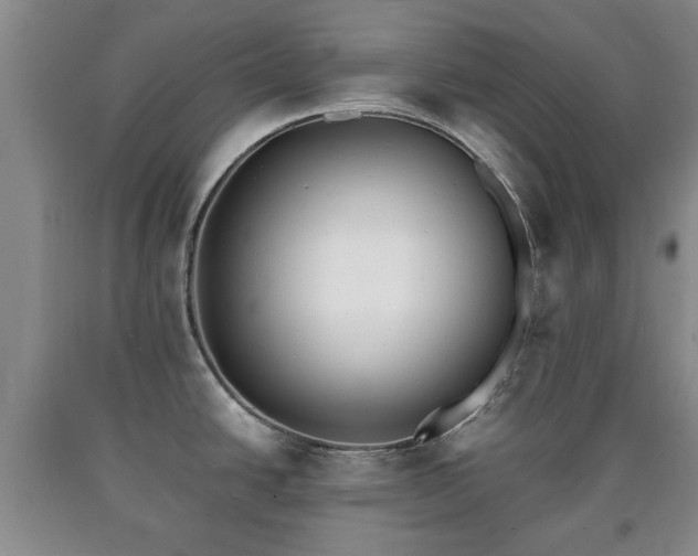 X0000090701438200707271059