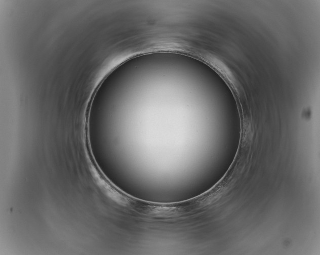 X0000090701439200707271059