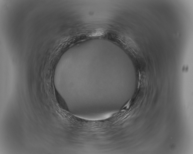 X0000090701441200707271058