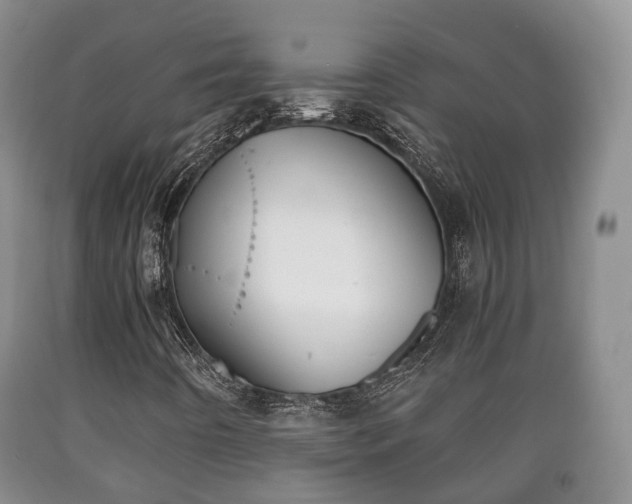 X0000090701442200707271058