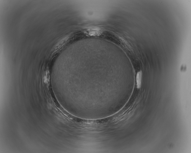 X0000090701443200707271058