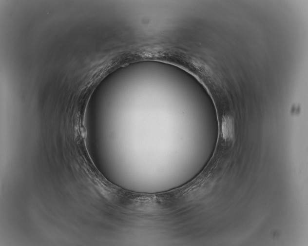 X0000090701444200707271058