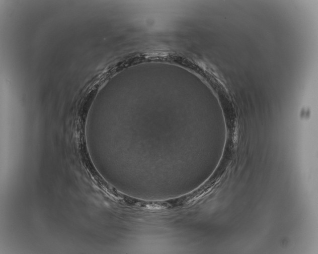 X0000090701445200707271058