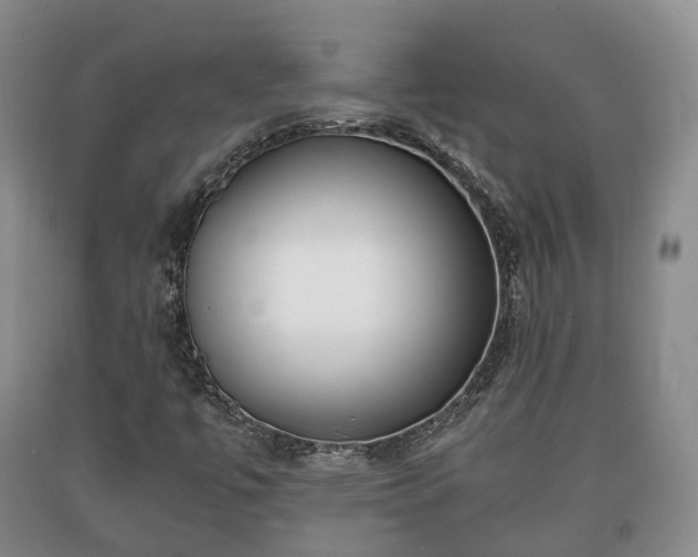 X0000090701447200707271058